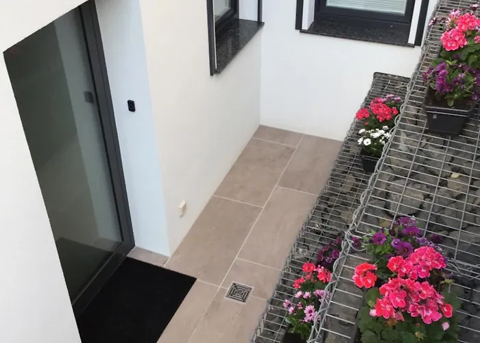 Rheingau Und Weltkulturerbe Mittelrheintal Erleben - In Winkel Appartamento Oestrich-Winkel